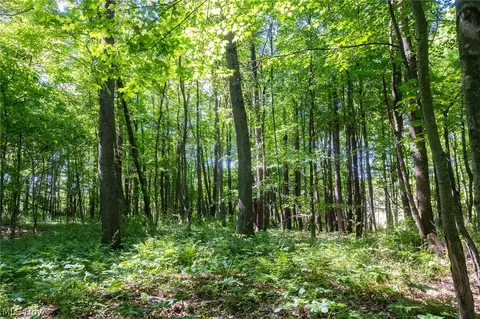 Ridge Rd, Minerva, OH 44657 photo 14