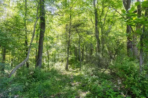 Ridge Rd, Minerva, OH 44657 photo 4