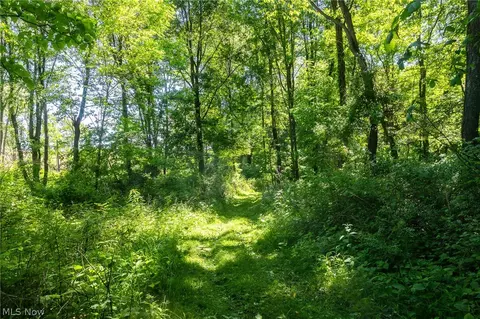 Ridge Rd, Minerva, OH 44657 photo 18