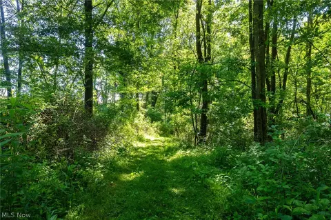 Ridge Rd, Minerva, OH 44657 photo 19