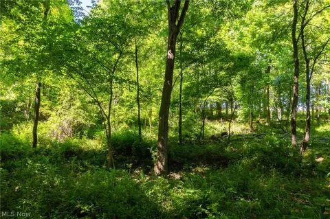 Ridge Rd, Minerva, OH 44657 photo 28