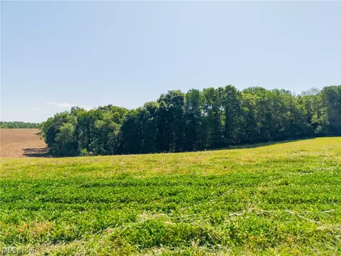 Ridge Rd, Minerva, OH 44657 photo 29