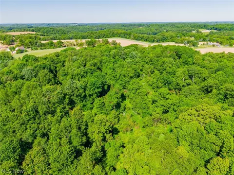 Ridge Rd, Minerva, OH 44657 photo 39