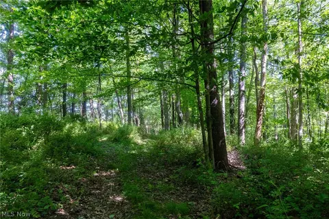 Ridge Rd, Minerva, OH 44657 photo 16