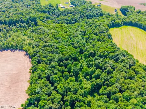 Ridge Rd, Minerva, OH 44657 photo 35