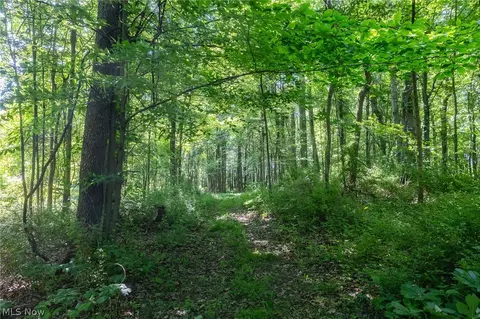 Ridge Rd, Minerva, OH 44657 photo 6