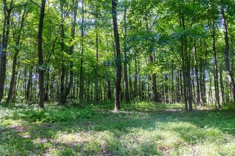 Ridge Rd, Minerva, OH 44657 photo 13