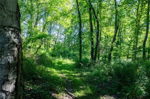 Ridge Rd, Minerva, OH 44657 photo 8