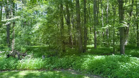 9621 Wolfe Rd, Windham, OH 44288 photo 35