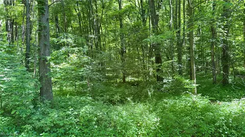 9621 Wolfe Rd, Windham, OH 44288 photo 36