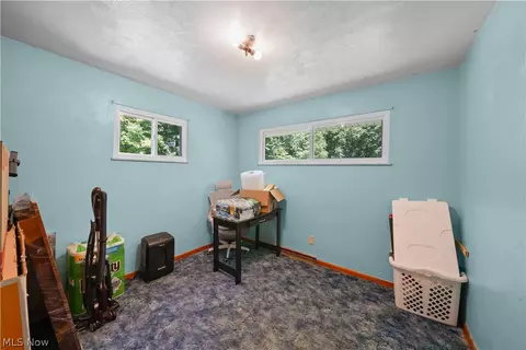 9621 Wolfe Rd, Windham, OH 44288 photo 17