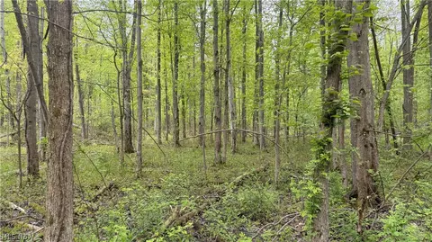 Munson Hill Road, Ashtabula, OH 44004