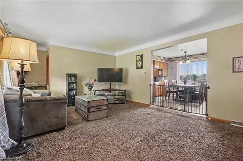 Living - 577 Geneva Ave, Struthers, OH 44471 photo 5 of 5