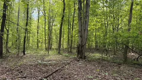 Munson Hill Road, Ashtabula, OH 44004 photo 9