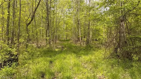 Munson Hill Road, Ashtabula, OH 44004 photo 6