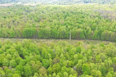 Munson Hill Road, Ashtabula, OH 44004 photo 22