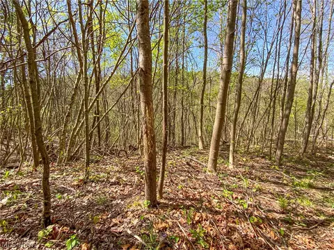 0 Brushy Hill Rd, Jerusalem, OH 43716 photo 10