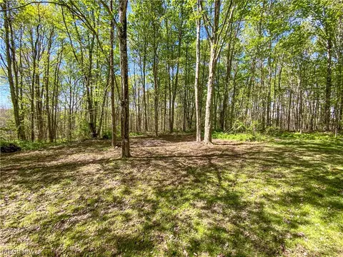 0 Brushy Hill Rd, Jerusalem, OH 43716 photo 4