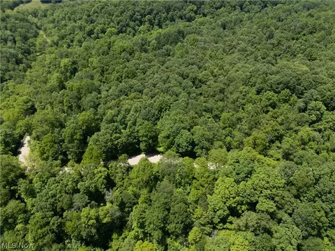 0 Brushy Hill Rd, Jerusalem, OH 43716 photo 17