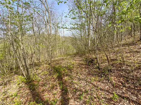 0 Brushy Hill Rd, Jerusalem, OH 43716 photo 9