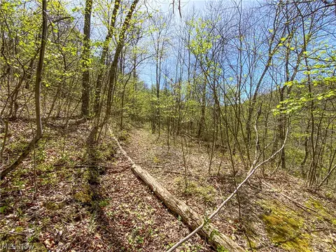 0 Brushy Hill Rd, Jerusalem, OH 43716 photo 8