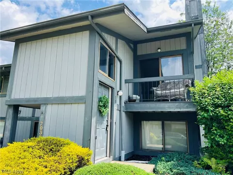 7047 Bristlewood Dr, Concord Twp, OH 44077