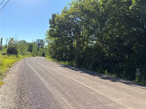 0 S Ridge Rd W, Conneaut, OH 44030