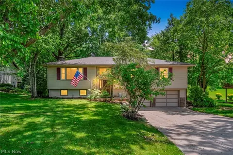 295 Hillsdale Cir, Wadsworth, OH 44281