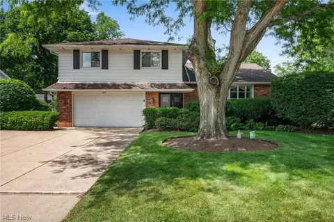 5379 Meadow Wood Blvd, Lyndhurst, OH 44124