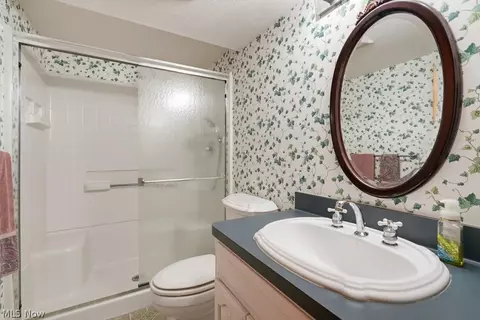 Bath - 6460 Laura Ln, Solon, OH 44139 photo 10 of 10