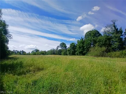 868 Township Road 278, Bergholz, OH 43908