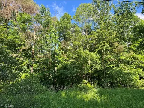 State Line Road, Conneaut, OH 44082