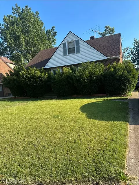 23020 Tracy Ave, Euclid, OH 44123
