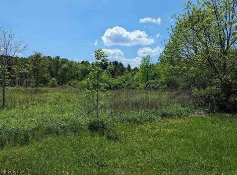 0 Ridgewood Rd, Medina, OH 44281