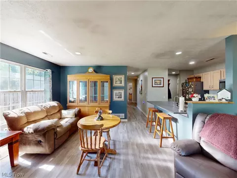 9552 Cloverleaf Rd, Windham, OH 44288 photo 4