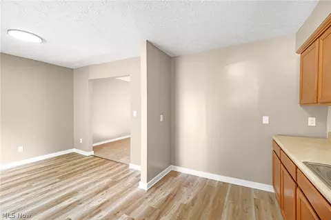 Other - 8995 Spring Dr, Windham, OH 44288 photo 5 of 8