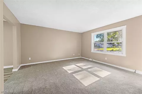 8995 Spring Dr, Windham, OH 44288 photo 10