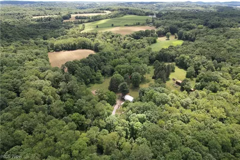 11811 Gaston Rd, Negley, OH 44441