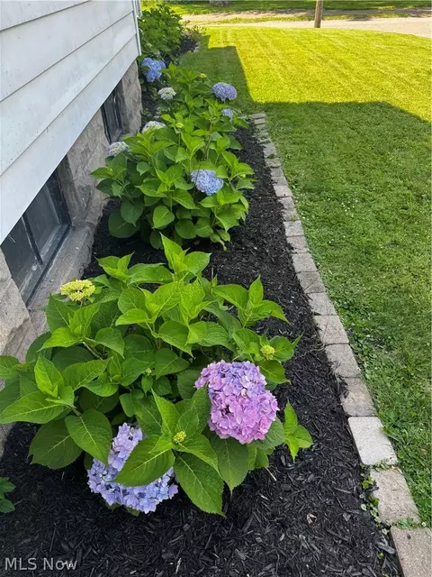 Exterior - 976 N Main St, Killbuck, OH 44637 photo 5 of 6