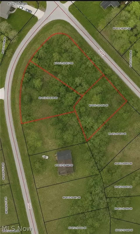 Vl Fox Run Circle, Roaming Shores, OH 44084