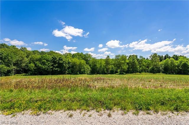 8008 Reef Rd NE, Mechanicstown, OH 44651