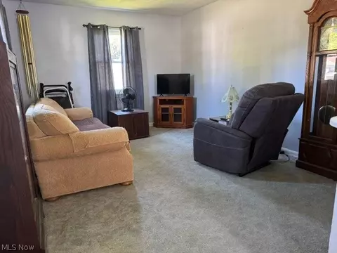Living - 920 Norman Ave, Ashtabula, OH 44004 photo 1 of 2
