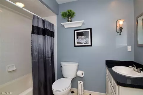 Bath - 10370 Pinecrest Rd, Concord Twp, OH 44077 photo 5 of 5