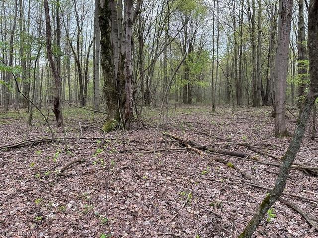 Vl Stanhope-kelloggsville Road, Kingsville, OH 44048