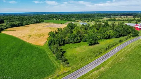 Holshoe Road, Homerville, OH 44235