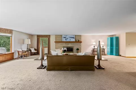 Living - 806 E Warner Rd, Akron, OH 44319 photo 5 of 10