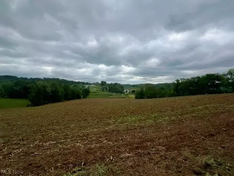 Blacksnake Hill Road, Dover, OH 44622 photo 6