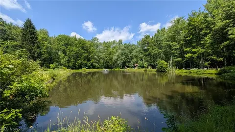 4370 Murphy Rd, Thompson, OH 44086