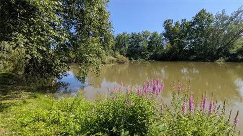 View/Area - 249 Forest Park Dr, Lagrange, OH 44050 photo 1 of 1