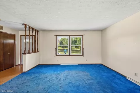 7974 Buffham Rd, Lodi, OH 44254 photo 9